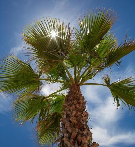 호텔 Blue Style Resort