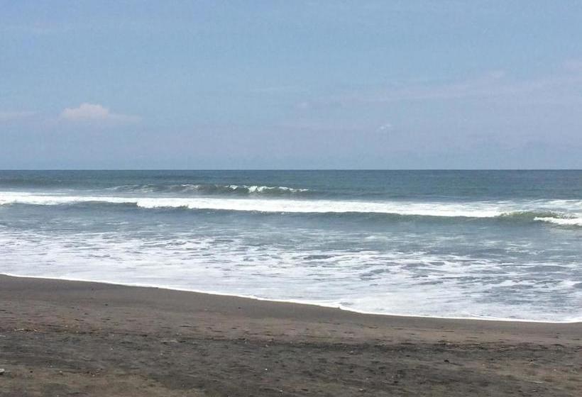 هتل Coco Blue Resort