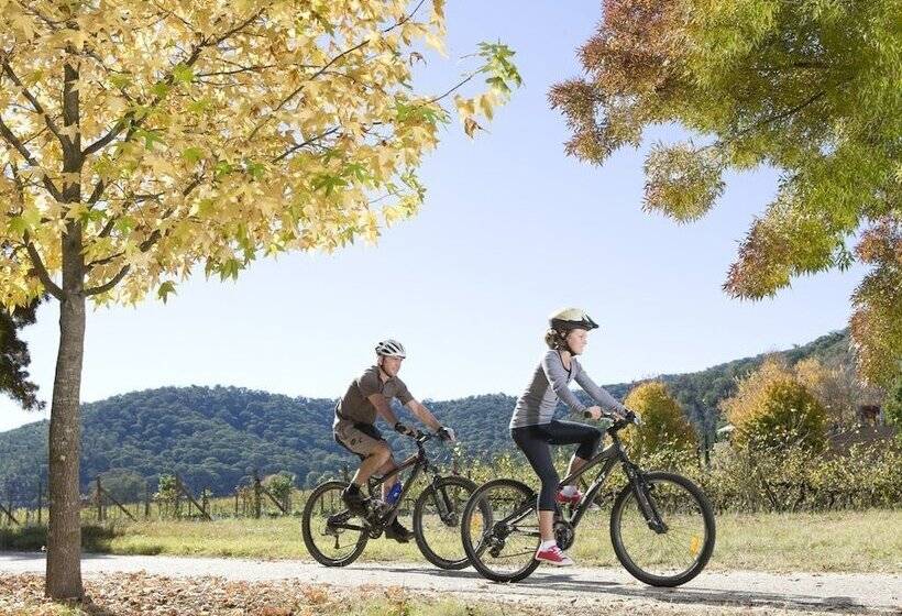 Mystic View Cottage Wandiligong