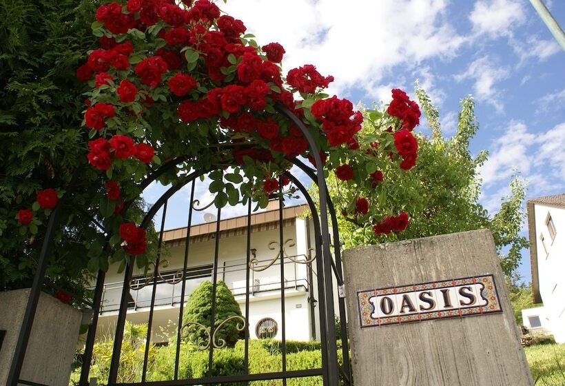 Oasis Apartment