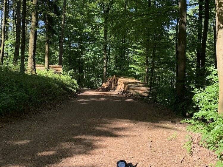 بنسيون Ferienwohnung Sauerlandblick
