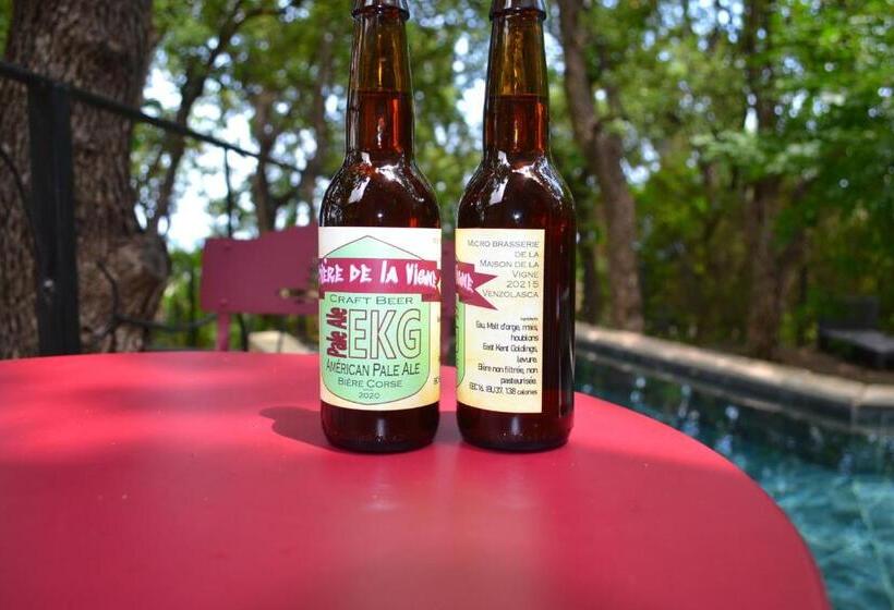 Пансион Maison De La Vigne