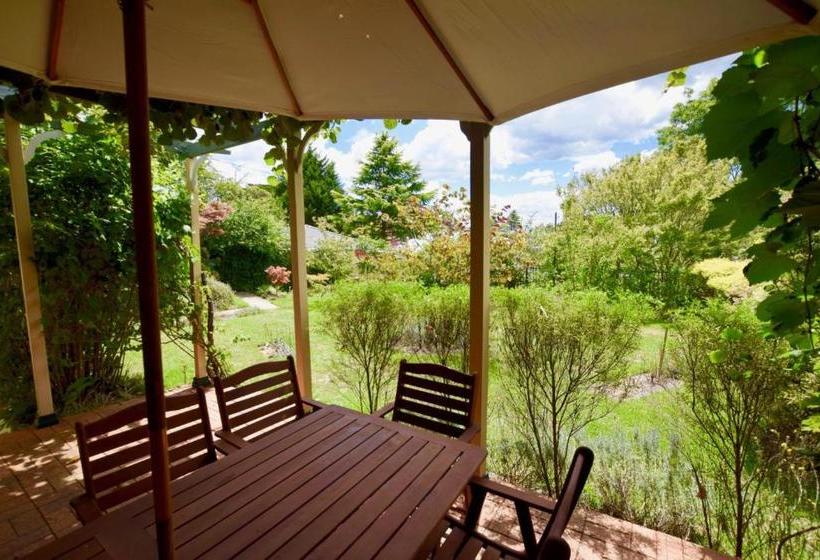 Raspberry Terrace Of Leura