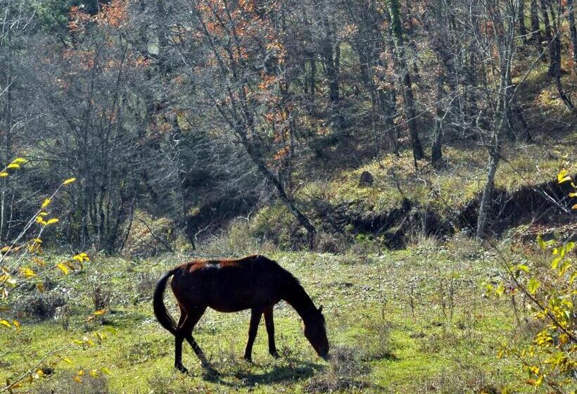 Vaela Hotel Cultural Resort