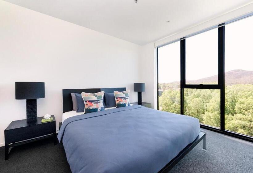 Birch Apartments In The City