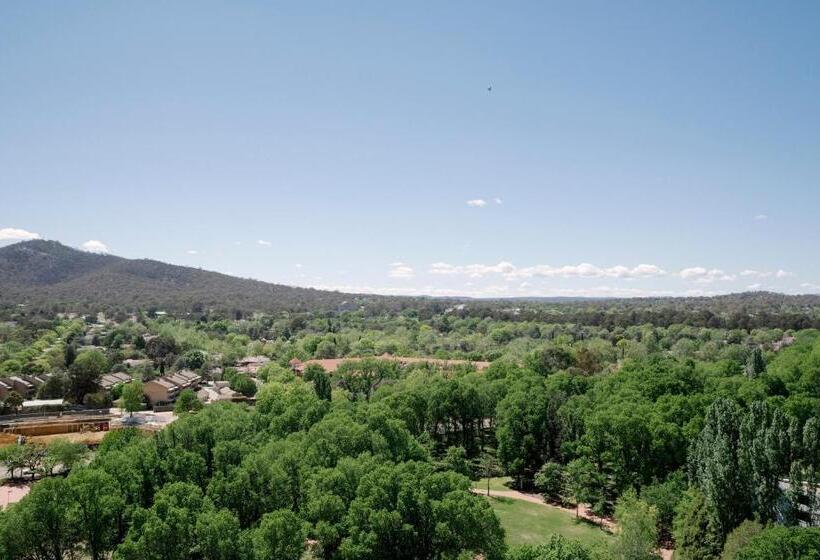 Birch Apartments In The City