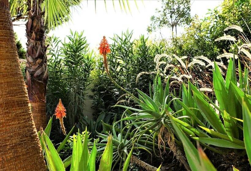 Charming Exceptional Villa In Algarve