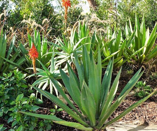 Charming Exceptional Villa In Algarve