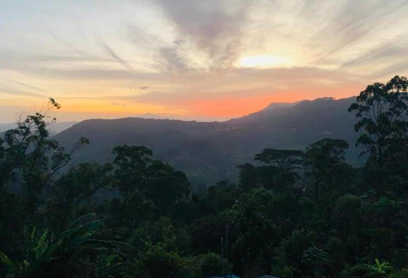 فندق Nilowin Glenanore Guesthouse