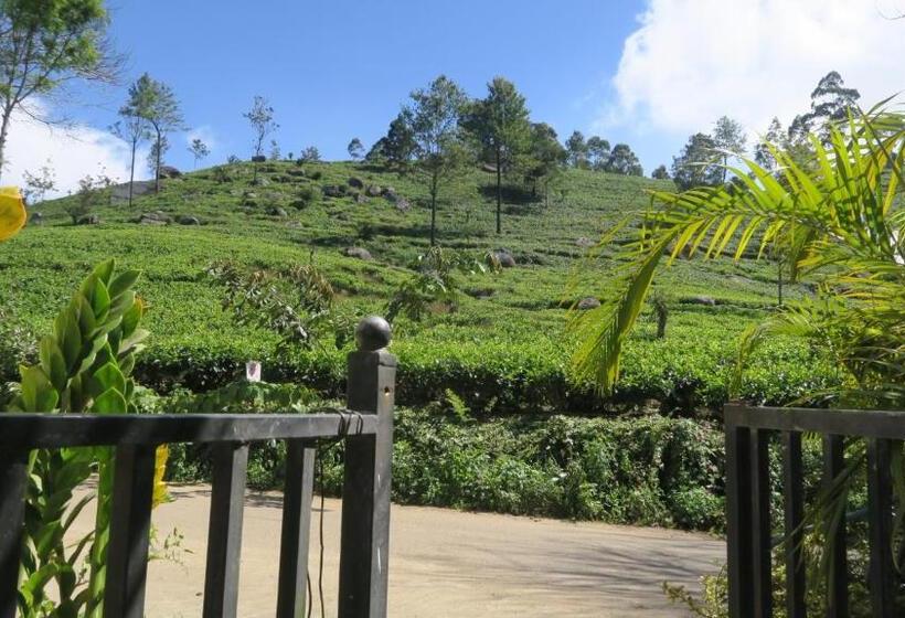 فندق Nilowin Glenanore Guesthouse