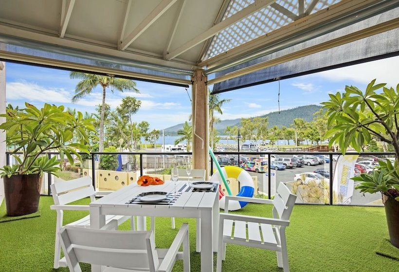 Montipora On The Waterfront