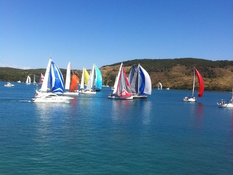Montipora On The Waterfront