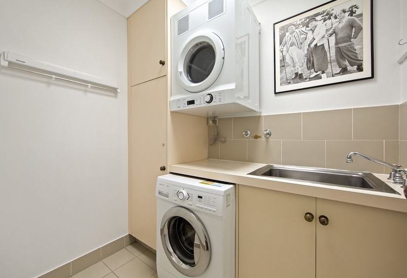 Montipora On The Waterfront