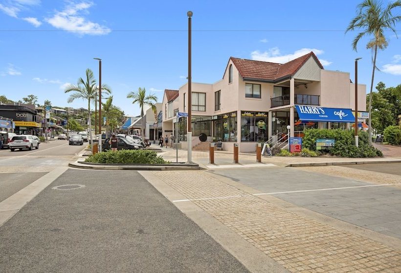 Montipora On The Waterfront