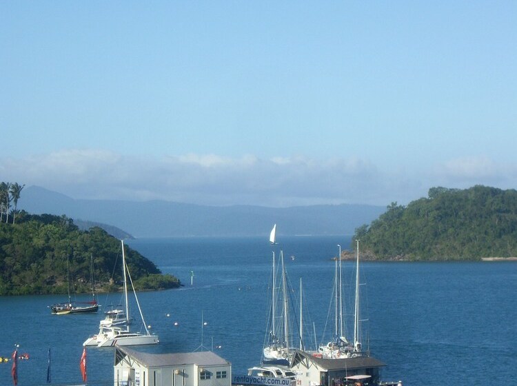 Montipora On The Waterfront