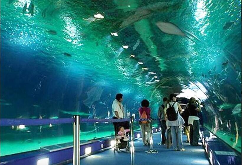 Porto 3 Bedroom Beach Apartment