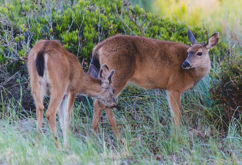 Bayvue Hotel, Resort & Suites