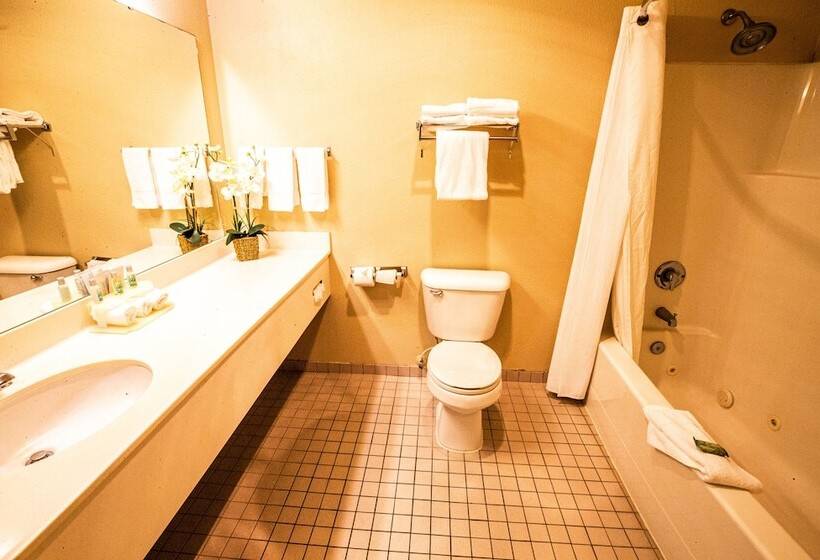 Bayvue Hotel, Resort & Suites
