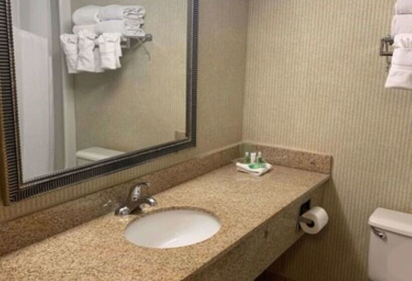 Aviator Hotel & Suites South I 55, Bw Signature Collection