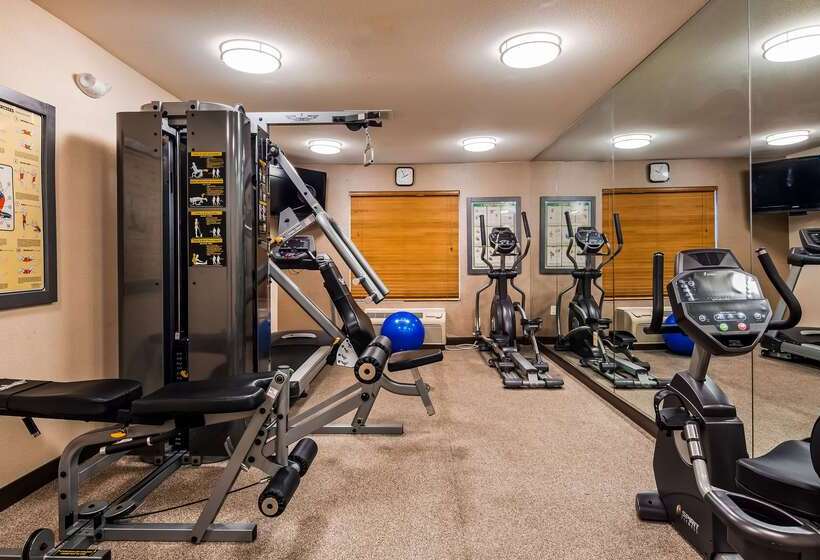 酒店 Best Western Brentwood Inn