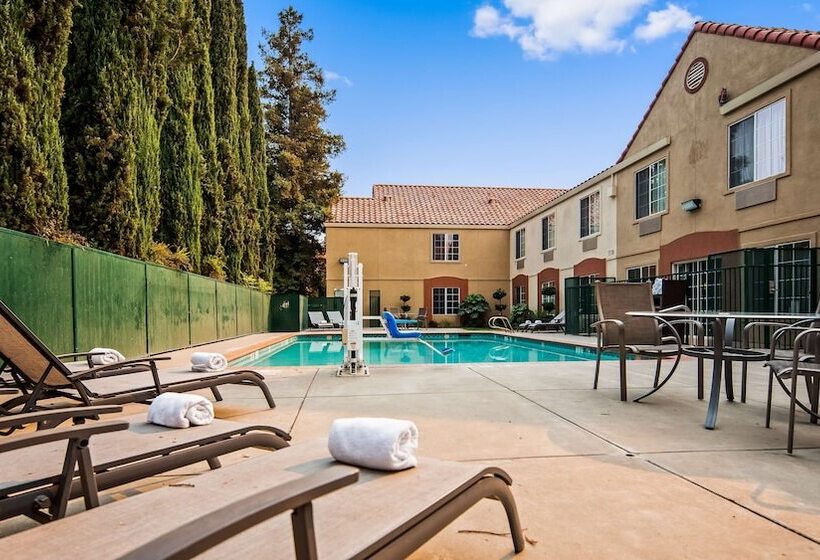 酒店 Best Western Brentwood Inn