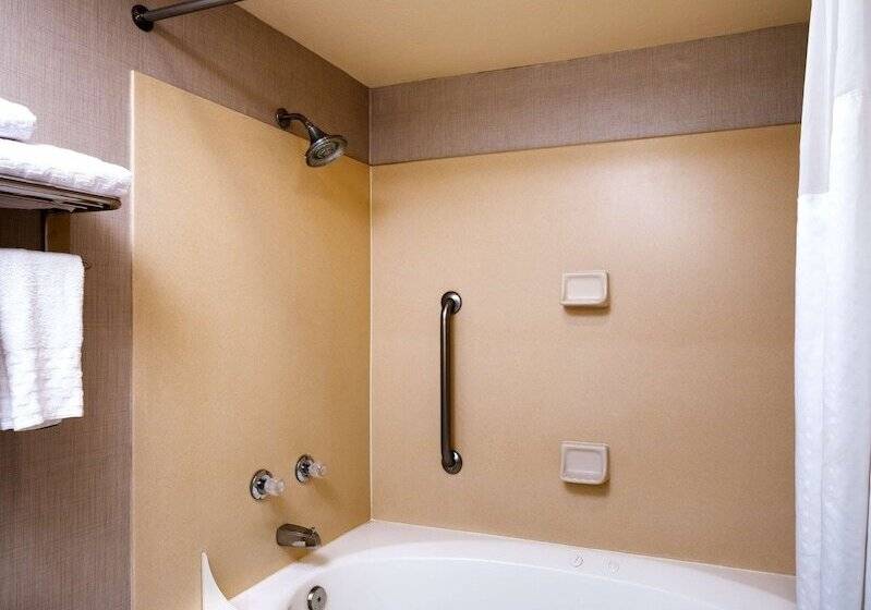 هتل Best Western Downtown Phoenix