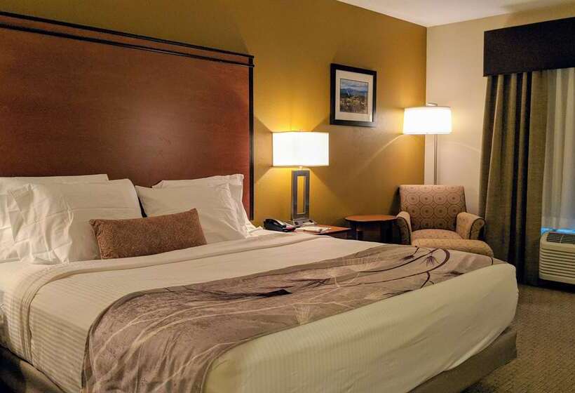 ホテル Best Western Bend North