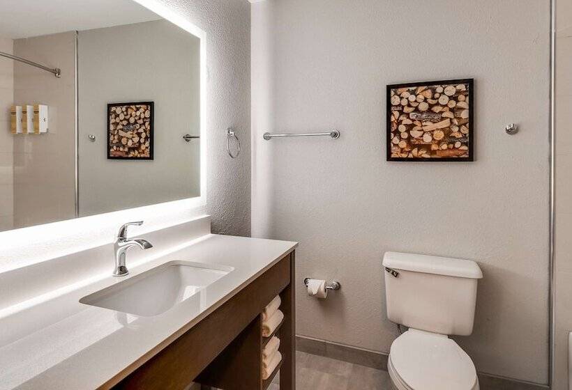 Best Western Plus Bourbonnais Hotel & Suites