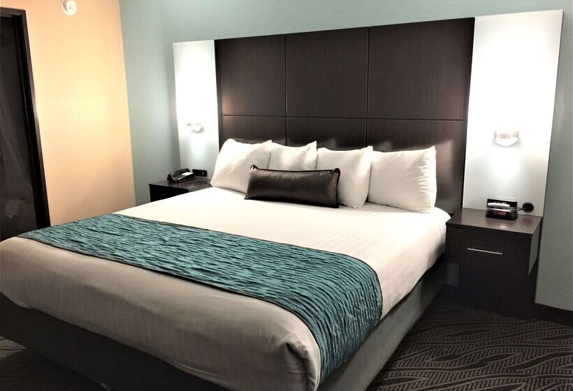 酒店 Best Western Plus Galleria Inn & Suites