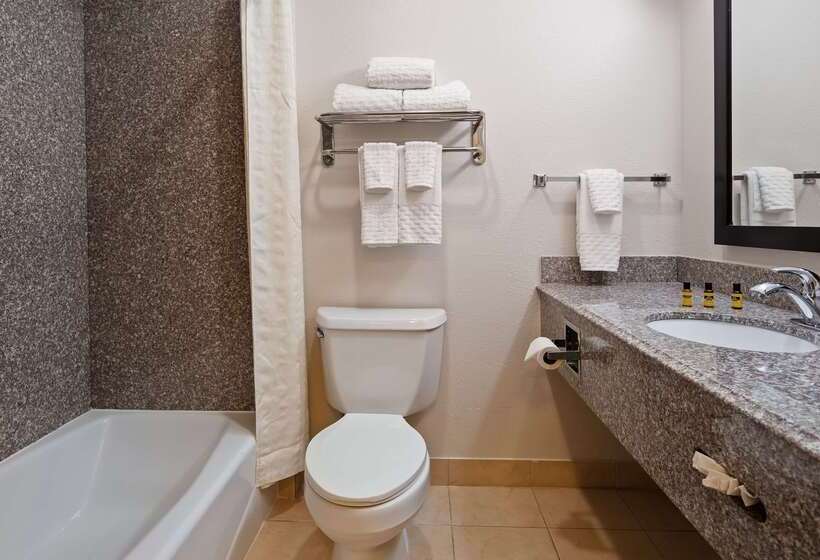 فندق Best Western Plus Kansas City Airportkci East