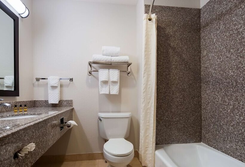 فندق Best Western Plus Kansas City Airportkci East