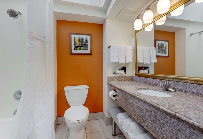 בית מלון כפרי Best Western Plus Rockwall Inn & Suites