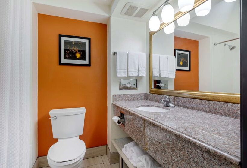 Отель Best Western Plus Rockwall Inn & Suites