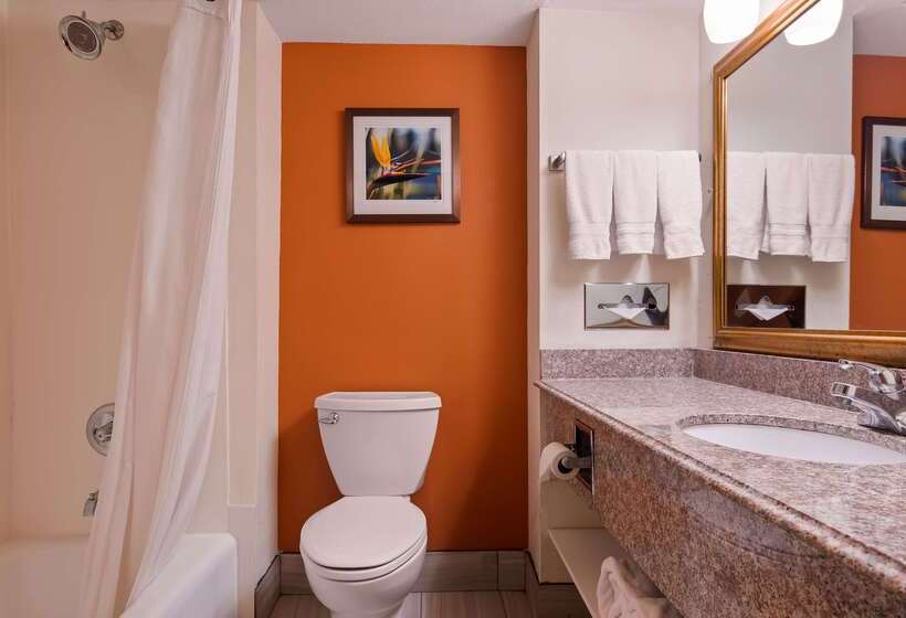 בית מלון כפרי Best Western Plus Rockwall Inn & Suites