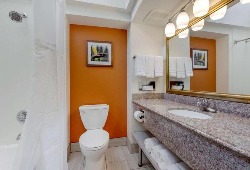 בית מלון כפרי Best Western Plus Rockwall Inn & Suites