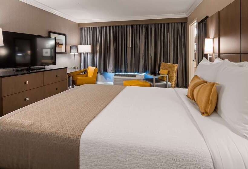 酒店 Best Western Premier Airport/expo Center