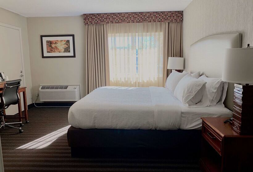 فندق Best Western Springfield