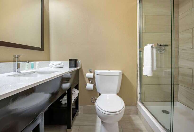 Clarion Hotel Conference Center   North