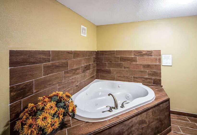 هتل Clarion Inn Fort Wayne