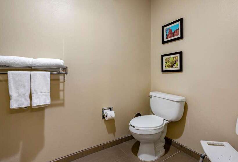 酒店 Wingate By Wyndham Los Alamos