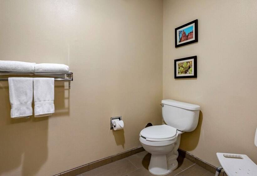 酒店 Wingate By Wyndham Los Alamos