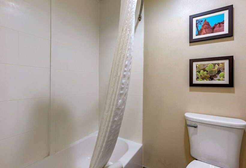 酒店 Wingate By Wyndham Los Alamos