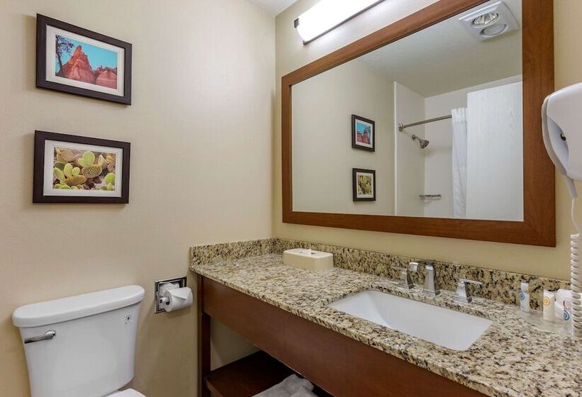 酒店 Wingate By Wyndham Los Alamos