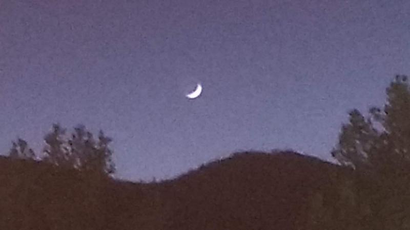 酒店 Wingate By Wyndham Los Alamos