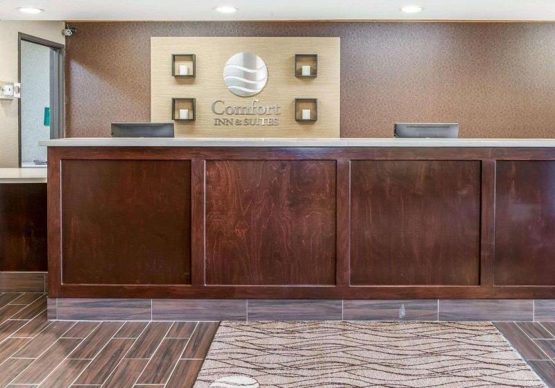 호텔 Comfort Inn & Suites Napoleon