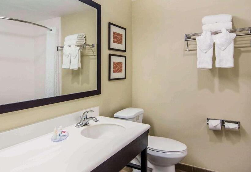 فندق Comfort Inn Atlanta Downtown South