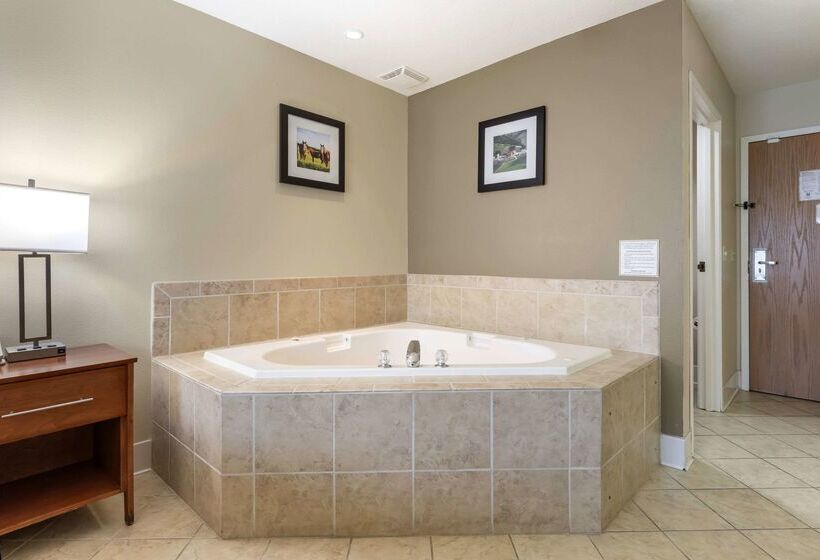 בית מלון כפרי Comfort Inn & Suites Black River Falls I94