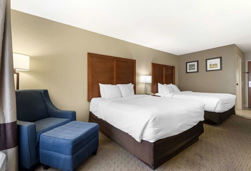 فندق Comfort Inn & Suites Black River Falls I94