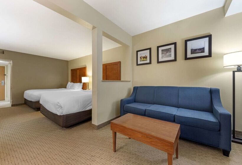 בית מלון כפרי Comfort Inn & Suites Black River Falls I94