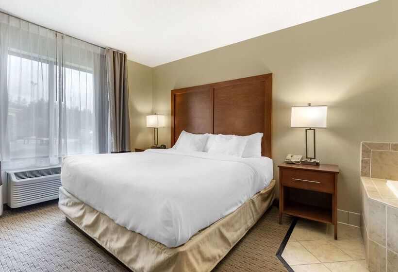 فندق Comfort Inn & Suites Black River Falls I94